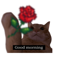 BIG NEKO_20260418001002