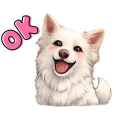 B_sujipaaa_20260421112924