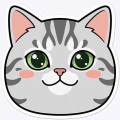 美短的臉 表情 ♪ AG 1st