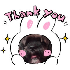 praw007_20260421112924