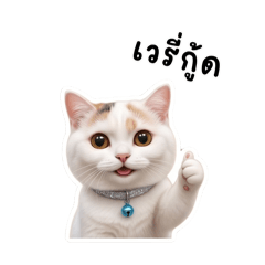 jinn13jinn_20260421114023