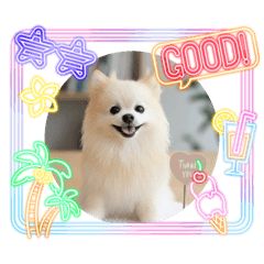 mika15_20260418020742