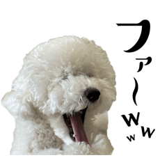 Chaako_20260421133953