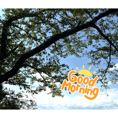 MIMIKA_20260421104952