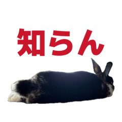 kaeko_20260421134823