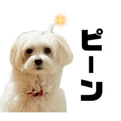 Hotateo_20260421134519