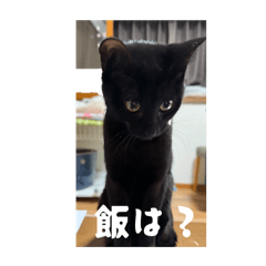 Nsnsh _maron_20260421135738