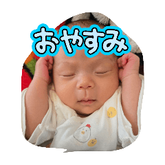 potato_20260421134528