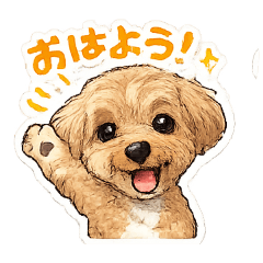 Himoyan_20260421141150