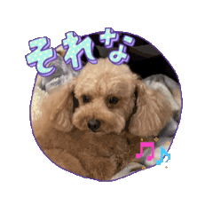 KatoRiN_20260421172728