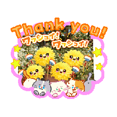 mymyme_20260421172648