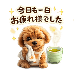 sorane_20260421181929