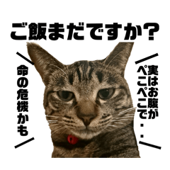 ponyampass_20260421182750