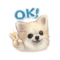 marine_20260421182454