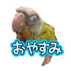 sakusaku3939_20260421182843