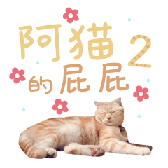 阿貓的屁屁2