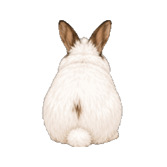 Khao-fuu the Tiny Bunny (Non-Stop)