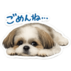 yururin_20260421150109