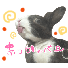 orrrrrrray!!_20260421151215