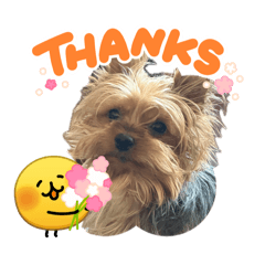 Emiko_20260421151106