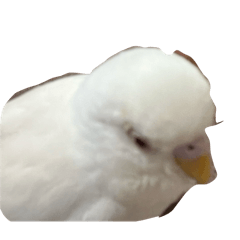 ryuuu_20260418110050