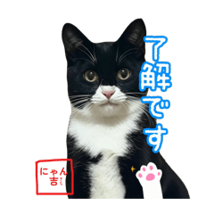 mayu_20260421122717