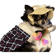 Lacie_20260421124133