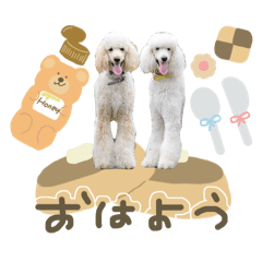 yui_m0330_20260421123708