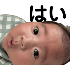 CHISAKI_20260421123448