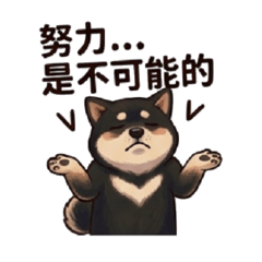 黑柴歐巴：廢柴的養成日記