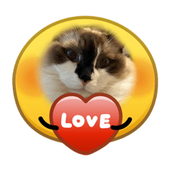 maaaniii_20260421165032