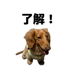 mtss7000_20260421165342