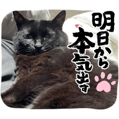 misakichi_20260421165447