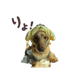 mtss7000_20260421171320