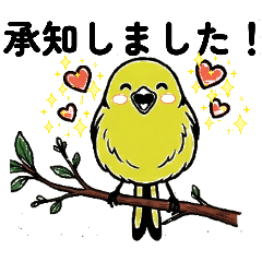 Shimaena_20260421170704