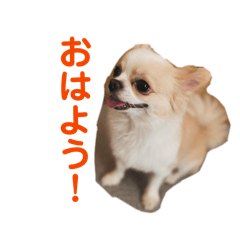 Haruto_20260421170317