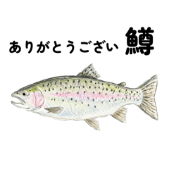 Sophie_20260421171215