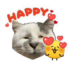 manaaami_20260421171051