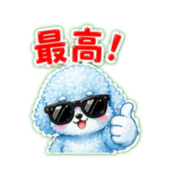 Shaboz_20260421171319z