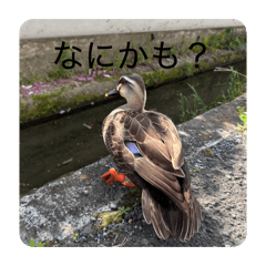 yuipyon_20260421204223