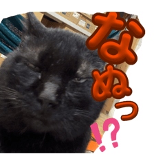 Anago_20260421204703