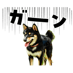 makahimo_20260421204838