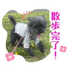 ningen_20260421205824