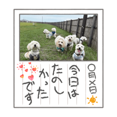 pooochi_20260421204255