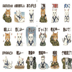 Army Cat_Revised(Japanease)