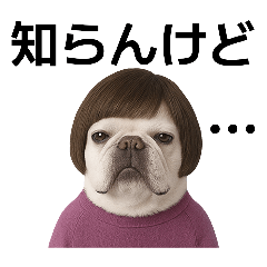 フレブルのやまわきさん4