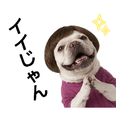 フレブルのやまわきさん5