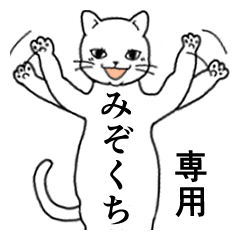 Name Sticker for Mizokuchi Mizokuti