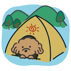 毎日使えるキャンプ犬|トイプードル