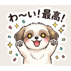 Fluffy ShihTzu Kanon-chan(May)